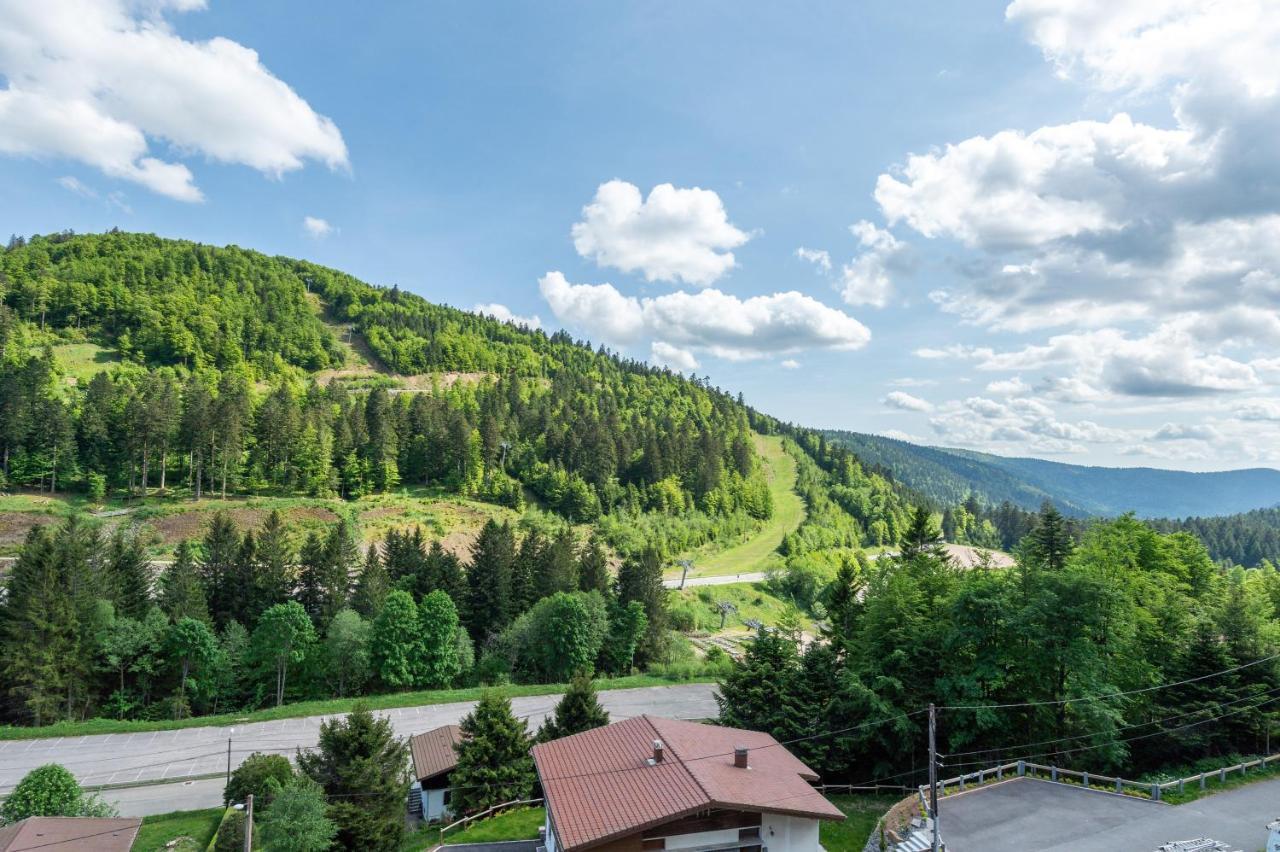 Le Petit Sapin Apartment Ла Брес Екстериор снимка